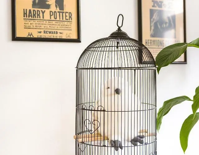 Harry Potter's In Center